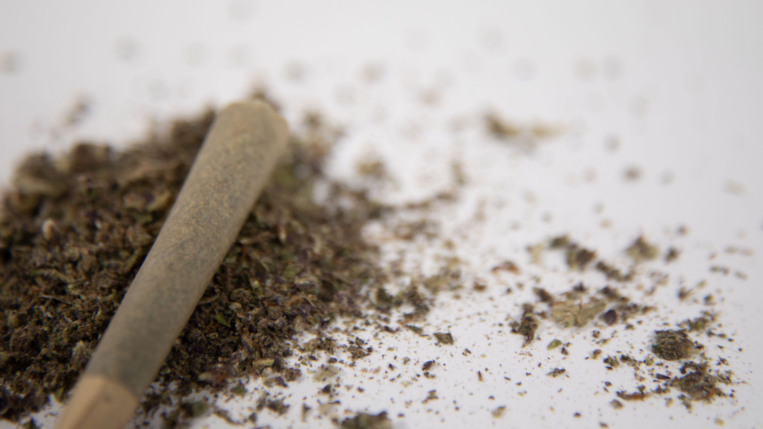 Is Cannabis Still Taboo in NASCAR? Inside the Stigma Debate